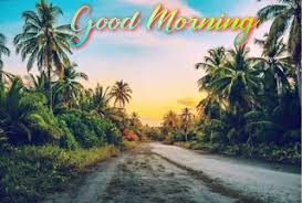 This is nice nature channel. Best Good Morning Images With Nature For Whatsapp