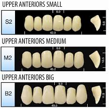 Major Plus Comp Mid Continental Dental Supply