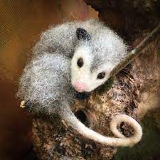 Cute Felted Possum Is Perfect Mother Day Gift Australian Etsy Australian Animals Felt Animals Wool Animals