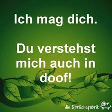 Ich Mag Dich Du Verstehst Mich Auch In Doof Spruche Freche Spruche Lustige Spruche