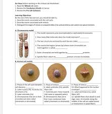 Mitosis virtual lab worksheet answer key / mitosis virtual lab for google classroom distance learning tpt. Do These Before Working On This Virtual Lab Chegg Com