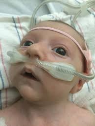 Richard Ethington (@rethington)