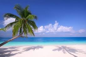 Explore over high quality clips to use on your next personal or commercial project. Beach Pictures Free Stock Photos Download 4 288 Free Stock Photos For Commercial Use Format Hd High Resolution Jpg Images