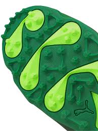 Image result for Puma 20