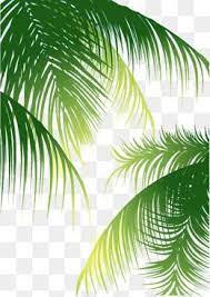 Fondo De La Hoja Imagenes Predisenadas De Fondo Fondo De La Hoja Publicidad Png Y Psd Para Descargar Gratis Pngtree Leaf Background Plant Leaves Leaves