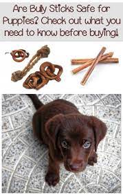 We recommend trading with your puppy and. What You Need To Know About Buying Bully Sticks For Puppies Bully Sticks Puppies Bully Sticks For Dogs