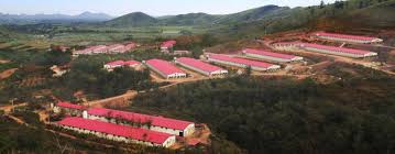 More news for sun dawu » Sun Dawu A Chinese Agricultural Entrepreneur S 36 Year Dream In The Era Of Reform And Opening Up Part One The Street Journal
