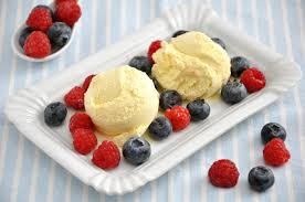 Resultado de imagen de maquinas de helados caseras