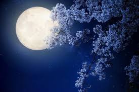 Maybe you would like to learn more about one of these? Frases Bonitas De Buenas Noches Portal De Actualidad 2021