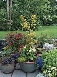 Pin By Laura Conn On Gardening Plants Landscape Services Container Gardening