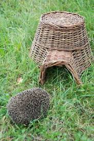 Unterschlupf Fur Igel Hohle Korb Uberwinterung Igelnest Nest Igelbau Bau Schutz Ebay