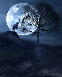 The Moon And The Elephant Moonipulations Full Moon Images Moon Photography Beautiful Moon