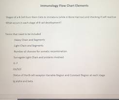 Solved Immunology Flow Chart Elements Stages Of A B Cell