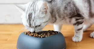 Shop dog & cat food, as well as food for fish on petco.com we'll match the online advertised price for these key competitors: Canada S Pet Food Industry Was Just Exposed For Being Dangerously Unregulated After This Week S Recall Narcity