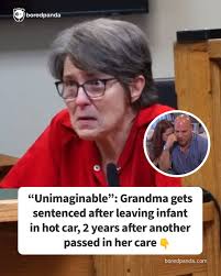 Unimaginable": Grandma gets sentenced after leaving infant in hot car, 2  years after another passed in her care (link in the comments)
