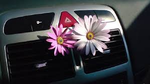 Comment Je Fabrique Mon Desodorisant De Voiture Car Cleaning Diy Car