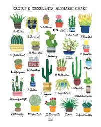 The hybrid plant is actually two types of cacti grafted together, and their. Cactus Varieties Names And Pictures