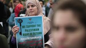 179 Scott Israel Stock Videos, Footage, & 4K Video Clips