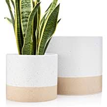 Ceramic pots, especially large ones can come with a hefty price tag. Buy Duo Set 2 Indoor Ceramic Flower Pots For Plants 7 6 Inch Large White Planters With Finish 2 Color Hand Painted Plant Pot With Drainage With Plug Modern Luxe Planters