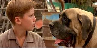 Pin On The Sandlot