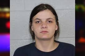 Ashley Williamson — Harris County Jail Bookings