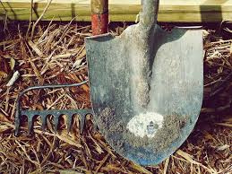 You can salvage them with just a bit of elbow grease. 6 Ways To Prevent Rust While Storing Your Garden Tools For Winter Off The Grid News