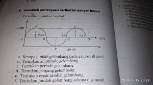 Ipa Halaman 162 Smstr 2 Kelas 8 2018 2019 Brainly Co Id