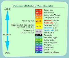 Ph Water Quality Planted Aquarium Water Quality Ph Water