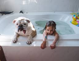 I have installed lola fully loaded bathtub in my house. The Heartwarming Friendship Of A Little Girl And Her English Bulldog Bored Panda
