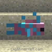 In both editions of minecraft,. Lightblue Pink Spotty Tropical Fish In Minecraft