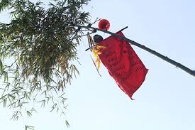 Image result for hình ảnh cây nêu ngày tết