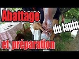 Abattage Et Preparation Du Lapin Bonus Youtube Lapin Preparation