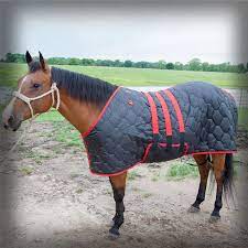 Limited time sale easy return. Cactus Gear Relentless Stable Blankets