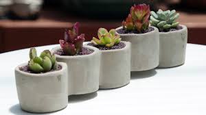 Submitted 4 years ago by chimney_hendrix. Cement Multi Container For Succulents Youtube