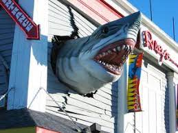 Ocean City Maryland Real Estate Fishing Restaurants Lodging And Hotels Ocean City Maryland Ocean City Md Ocean City