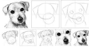 Tekenen Hond Dieren Tekenen Realistische Tekening Hondenkunst