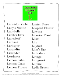 Flower Names Beginning With L Flower Dictionary With Free Printable Flower Posters In Alphabetical Order Flower Names Names Beginning With L Flower Dictionary