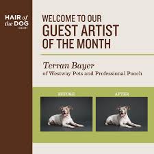 We did not find results for: Terran Bayer Guest Artist Of The Month January 2020