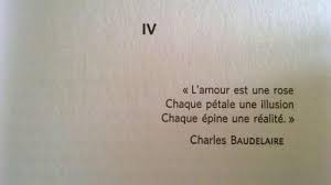 Pin Su Quote Enfin Des Morceaux De Pensee