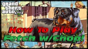 Gta 5 How To Walk Play Fetch With Chop For 100 Completion Gta V 100 Checklist Youtube