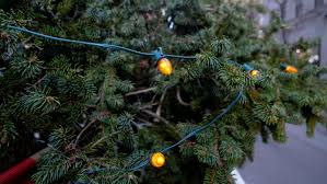 Hours may change under current circumstances Rockefeller Center Tree 2020 How To Watch The Lighting See The Tree