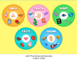 Five Senses Wall Decorator Mykidsarena Play School