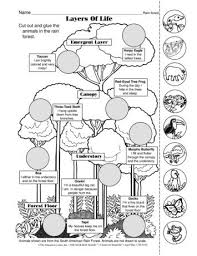 The Mailbox Rainforest Animals Rainforest Classroom Rainforest Project