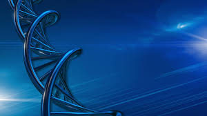 Is biomedical engineering a good field with future aspects? 7 Bme Background On Wallpapersafari