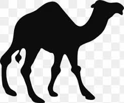 How to get camel | black desert online mount. Black Desert Images Black Desert Transparent Png Free Download