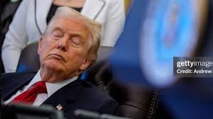 Theater 111 zeigt Stück über St.Galler Kräuterpfarrer Künzle