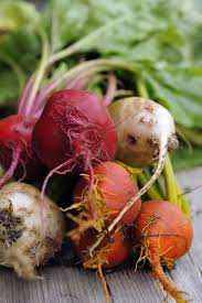 varieties of beet what are some common beet types