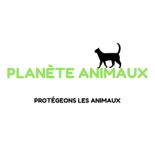 The fondation 30 millions d'amis youtube channel started in 2008 and is based in france. 30 Millions D Amis Officiel ãã¼ã  Facebook