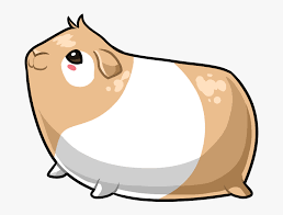 Just be careful that you don't have a very feisty younger guinea pig with a very laid back older guinea pig. I Love Guinea Pigs Png Download Kawaii Guinea Pig Drawing Transparent Png Kindpng