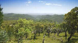 Check spelling or type a new query. Monchique Malerisches Gebirge Im Suden Portugals